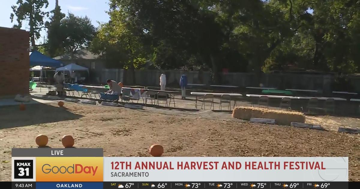 12th Annual Harvest and Health Festival