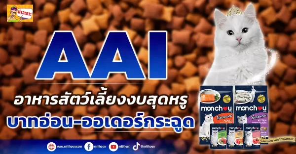 ด่วน!!!!  (มิติหุ้น-ข่าวเจาะ) 🔥 AAI🔥 อาหารสัตว์เลี้ยงงบสุดหรู บาทอ่อน-ออเดอร์กระฉูด