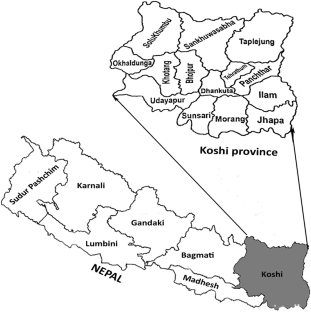 Prevalence of visual impairment, uncorrected refractive errors and effective refractive error coverage in Koshi Province, Nepal – Rapid Assessment of Refractive Errors