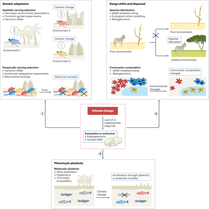 Genomics for monitoring and understanding species responses to global climate change