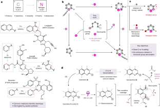 Carbon-to-nitrogen single-atom transmutation of azaarenes