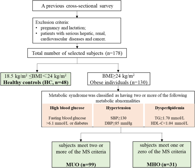 Correlation analysis of obesity phenotypes with leptin and adiponectin