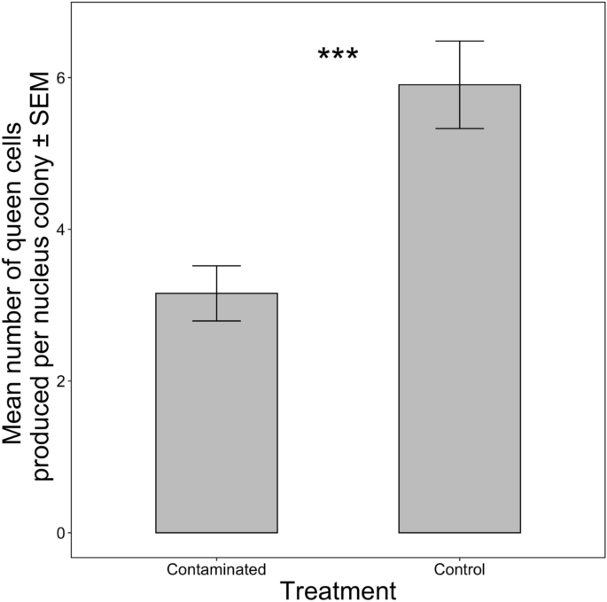 Re-using food resources from failed honey bee (Apis mellifera L.) colonies and their impact on colony queen rearing capacity