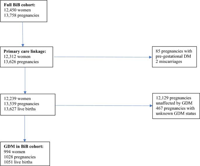 Child educational progress in Born in Bradford pregnancies affected by gestational diabetes and also exposed to maternal common mental disorders