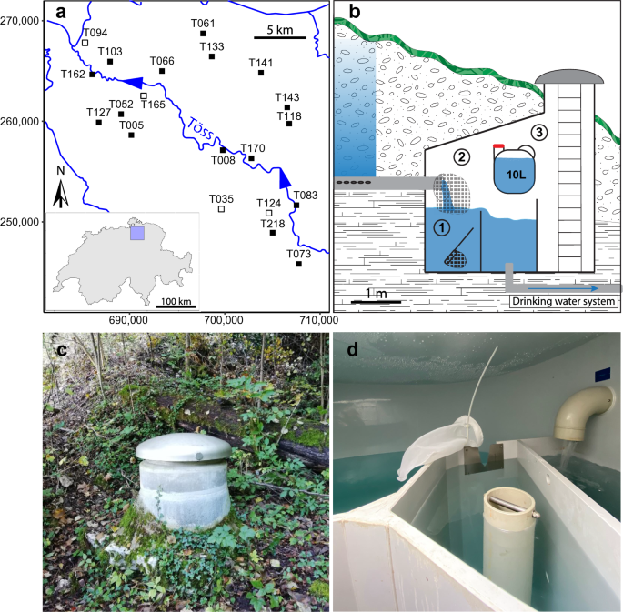 Integrating citizen science and environmental DNA metabarcoding to study biodiversity of groundwater amphipods in Switzerland