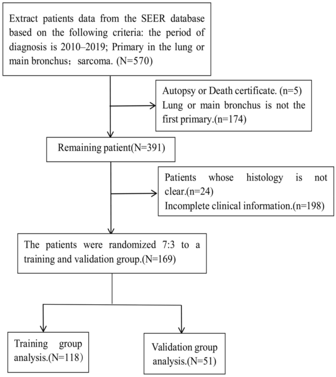 Prognostic visualization model for primary pulmonary sarcoma: a SEER-based study