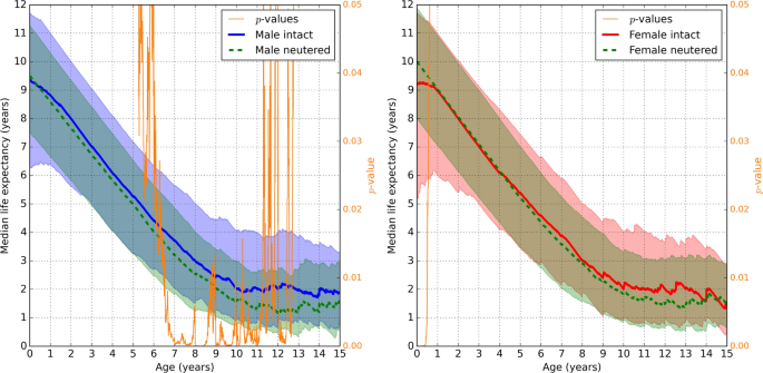 The effect of neuter status on longevity in the Rottweiler dog