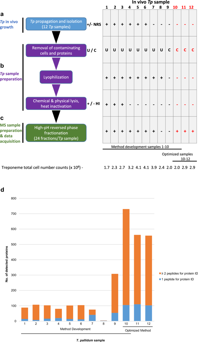 Deep proteome coverage advances knowledge of Treponema pallidum protein expression profiles during infection