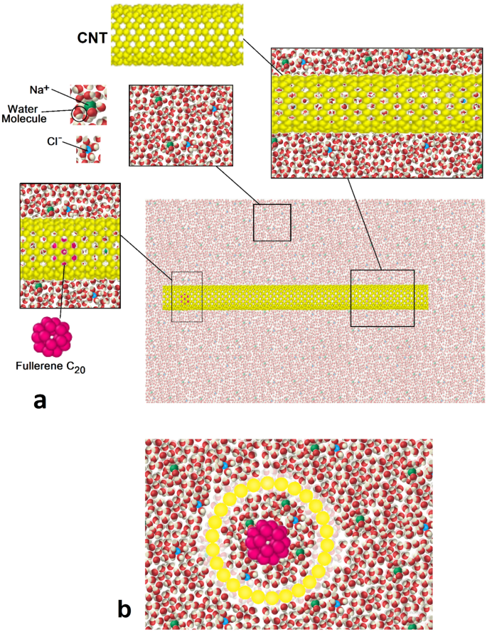 Investigating the atomic behavior of carbon nanotubes as nanopumps