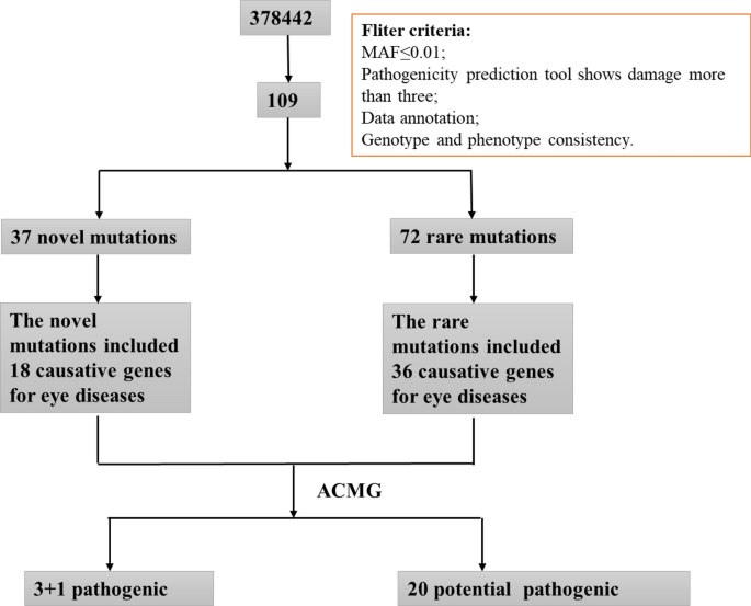 Screening of genes interacting with high myopia and neuropsychiatric disorders