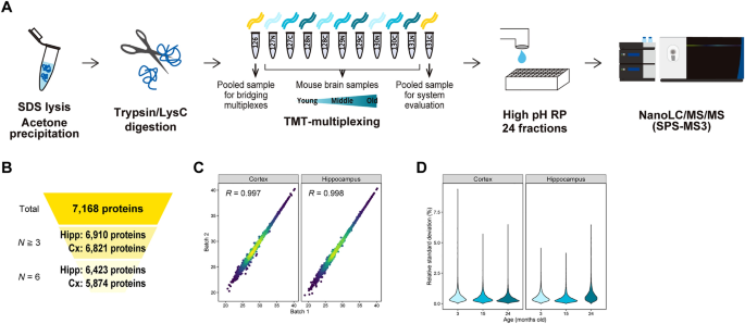 Proteomic characterization of aging-driven changes in the mouse brain by co-expression network analysis