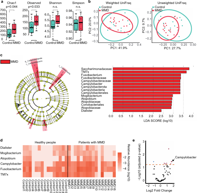 Higher abundance of Campylobacter in the oral microbiome of Japanese patients with moyamoya disease