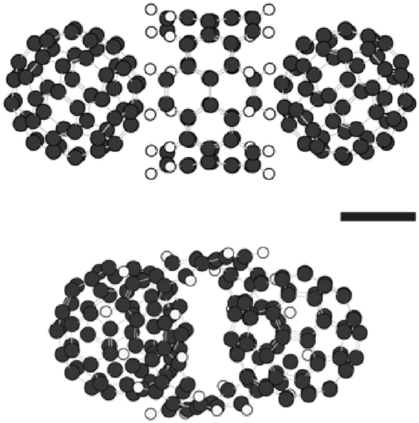 Thermal treatment of water-soluble particles formed by compounds composed of carbon nanobelts and C60 molecules