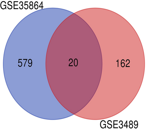 Comprehensive analyses identify potential biomarkers for encephalitis in HIV infection