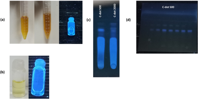 Synthesis and physicochemical characterization of carbon quantum dots produced from folic acid