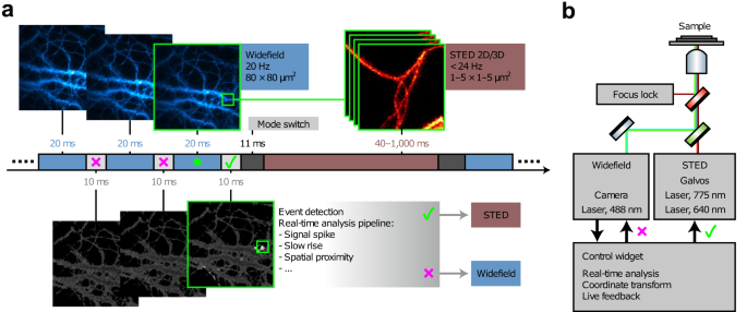 Imagining the future of optical microscopy: everything, everywhere, all at once