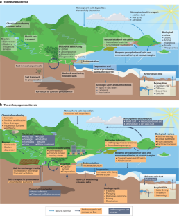 The anthropogenic salt cycle