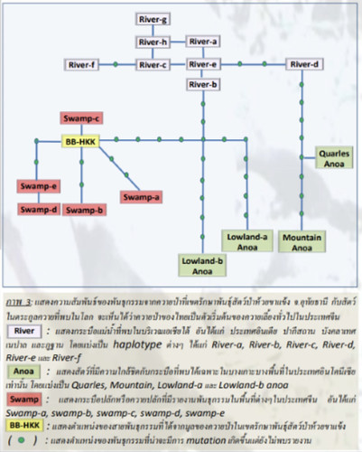 พันธุกรรมควายปลัก (Swamp buffalo) ในประเทศไทยมีเอกลักษณ์ที่จะเป็นต้นกำเนิดเผ่าพันธุ์ของควายปลักได้