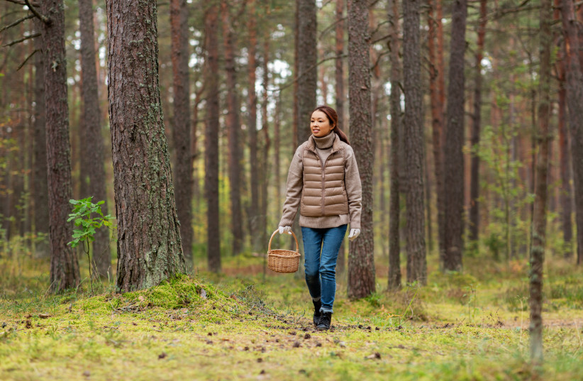 Improve fitness, strength and brain function: Walk this way