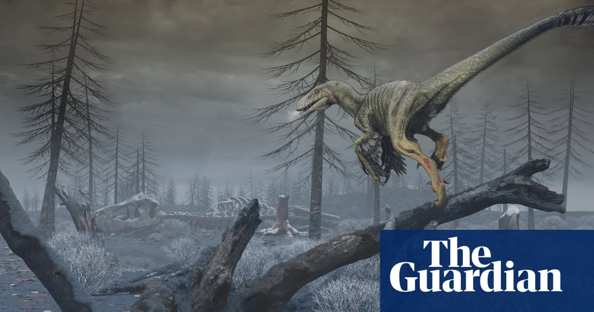 Dust drove dinosaurs’ extinction after asteroid impact, scientists say