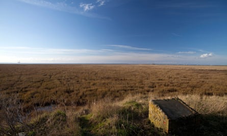 ‘Ablaze with russets and golds’: readers’ favourite places for enjoying autumn