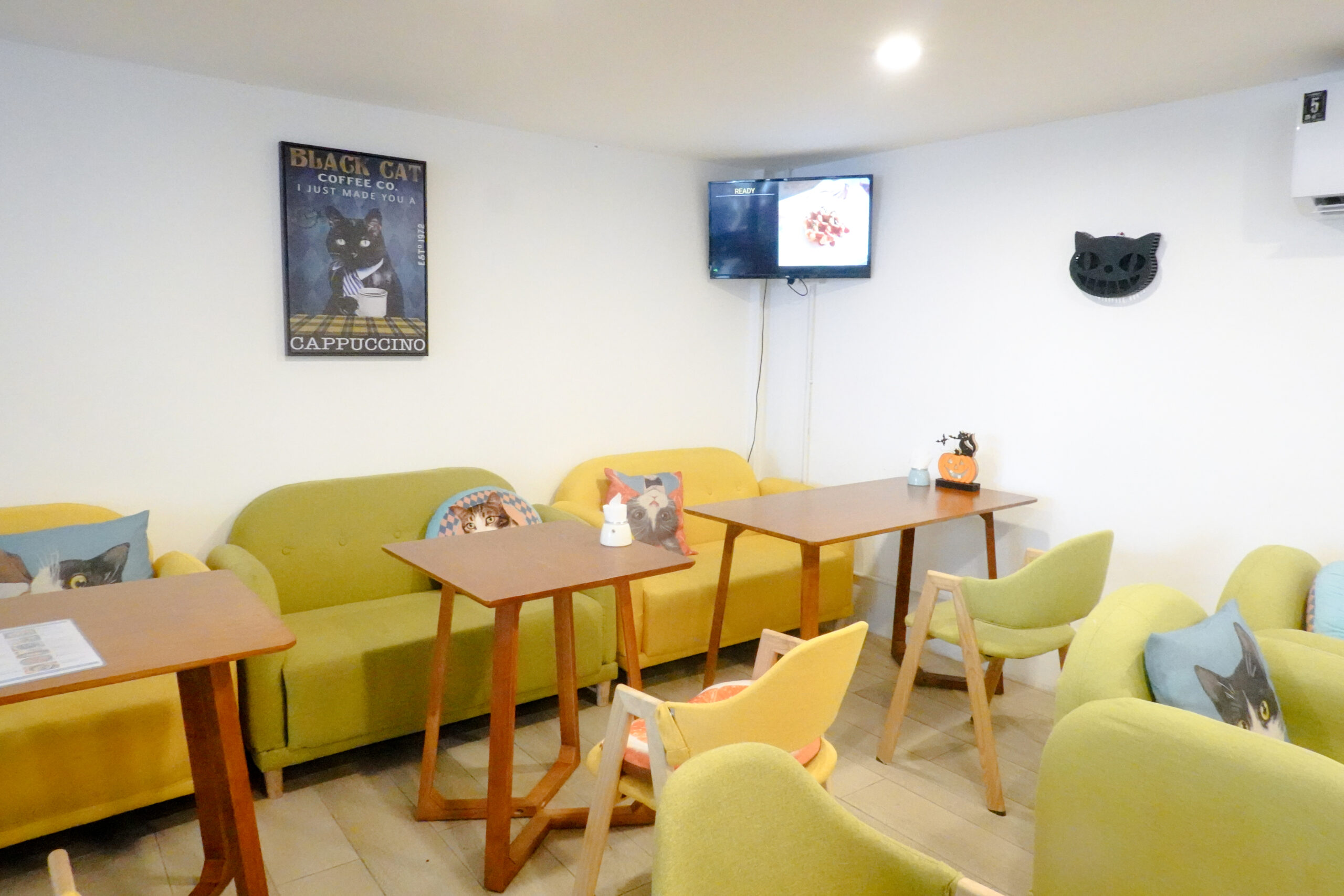 Asok Pethouse Cat Cafe คาเฟ่แมวเดินทางง่าย ใกล้ BTS อโศก