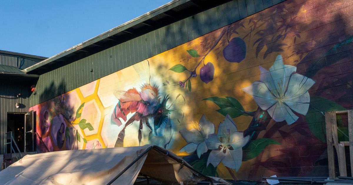 Explore Eugene’s art scene during Visual Arts Week