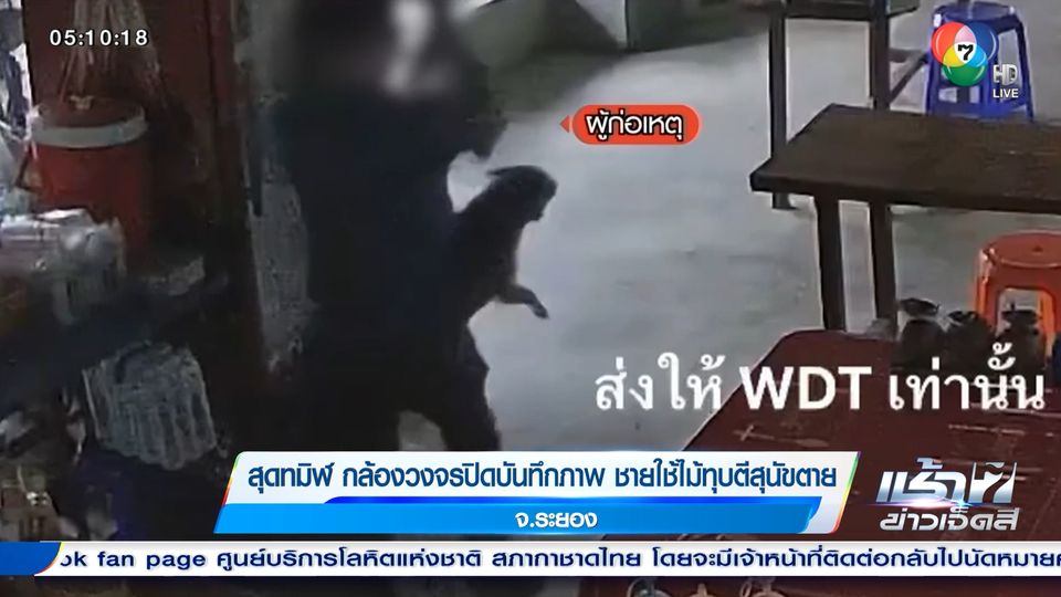 ข่าวสุดทมิฬ กล้องวงจรปิดบันทึกภาพ ชายใช้ไม้ทุบตีสุนัขตาย จ.ระยอง