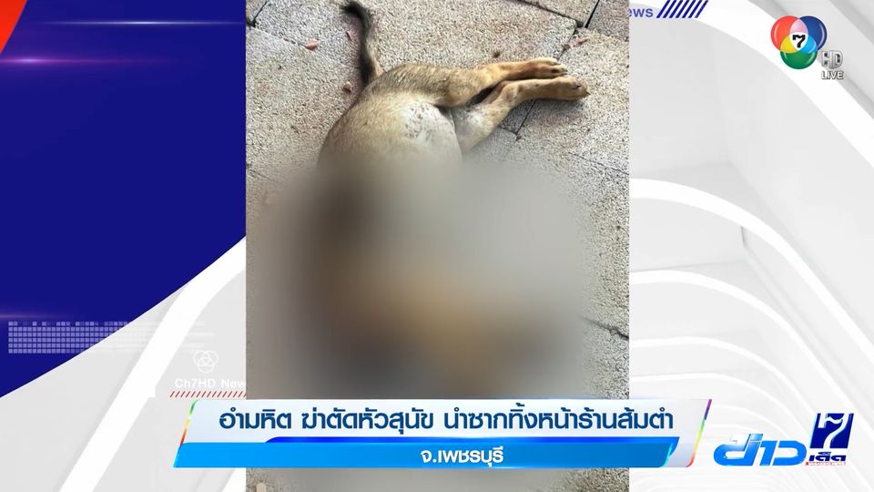 ข่าวอำมหิต ฆ่าตัดหัวสุนัข นำซากทิ้งหน้าร้านส้มตำ จ.เพชรบุรี
