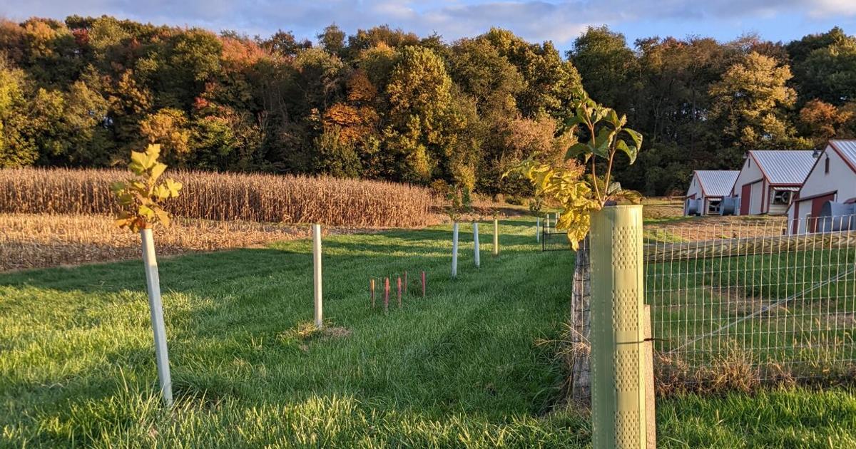 Perdue Partners With Alliance for Chesapeake Bay on Conservation Grant