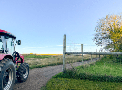M Health Fairview program increases food security for Minnesota families