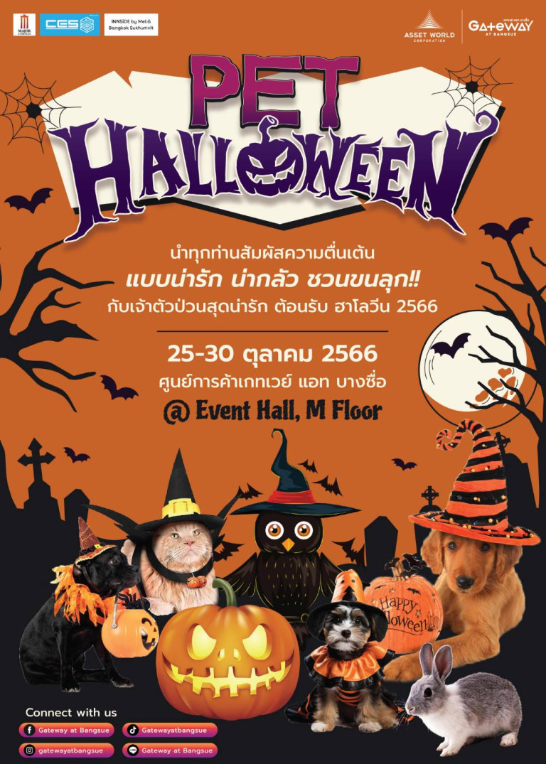 เข้าชมฟรี! “Pet Halloween 2023” พบความน่ารัก-ชวนขนลุก ต้อนรับวันฮาโลวีน ระหว่างวันที่ 25