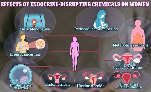 Studies reveal effect of PFAS, food additives on reproductive health