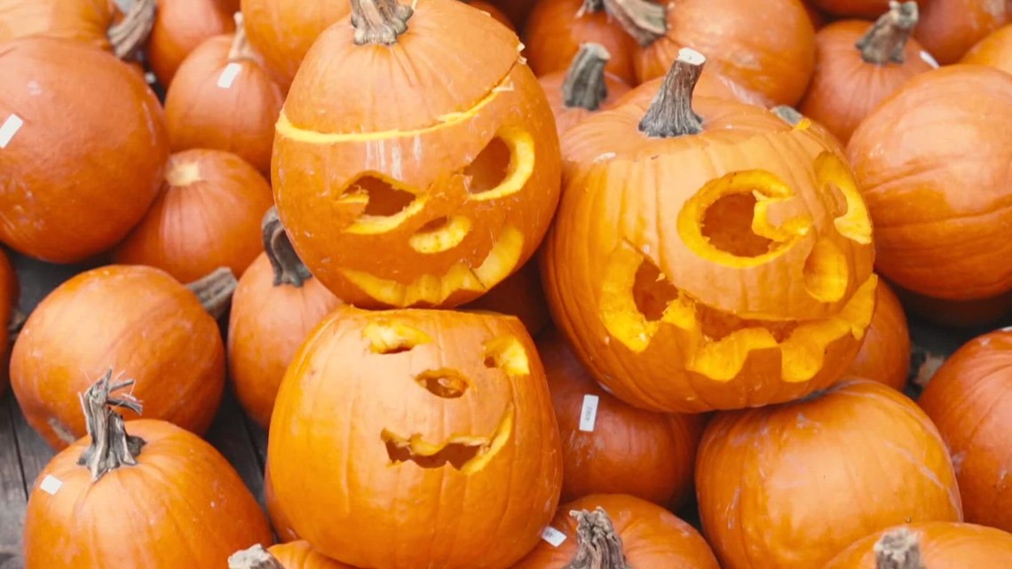 Yes, you can safely discard pumpkins in the yard or compost without hurting wildlife