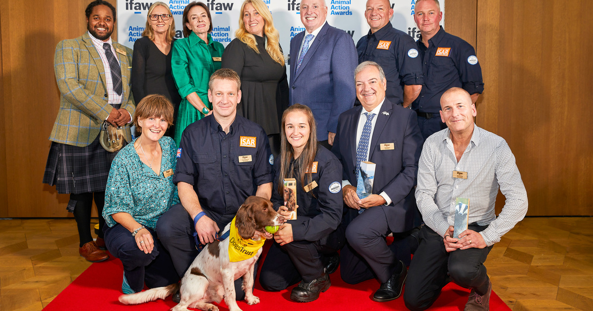 Animal Action Awards honour conservationists and animal rescuers