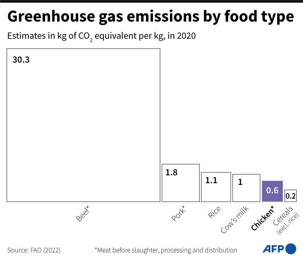 Greenhouse Gas Emissions By Food Type