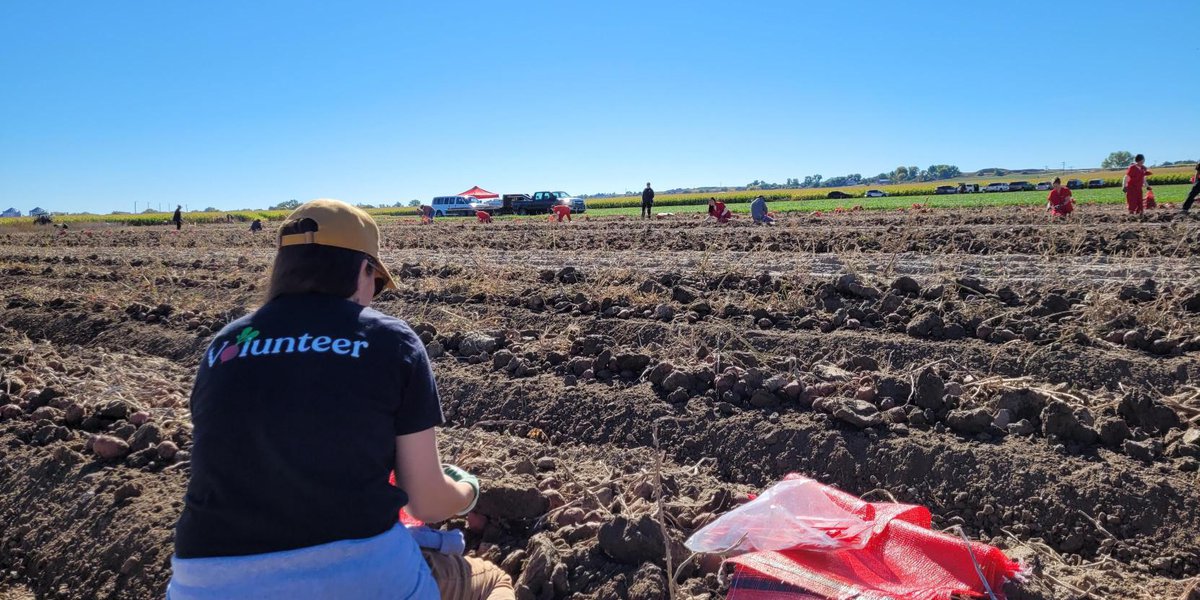 Food Bank of Wyoming receives 12,500 potatoes to distribute statewide