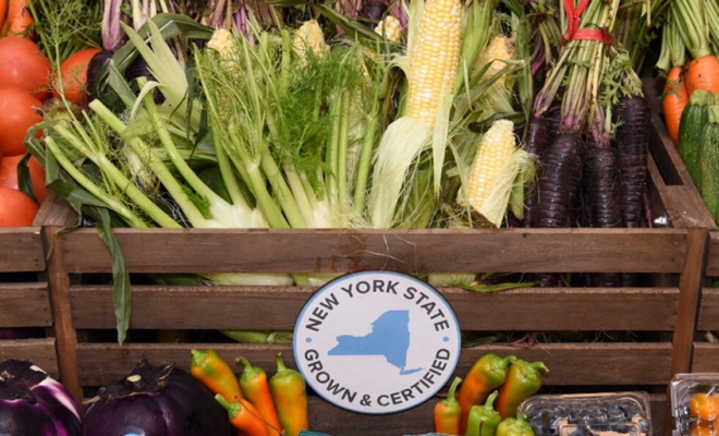 Governor Hochul Highlights Work of the Newly Formalized Council on Hunger and Food Policy During Farm-to-School Month