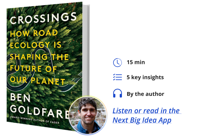 Crossings: How Road Ecology Is Shaping the Future of Our Planet