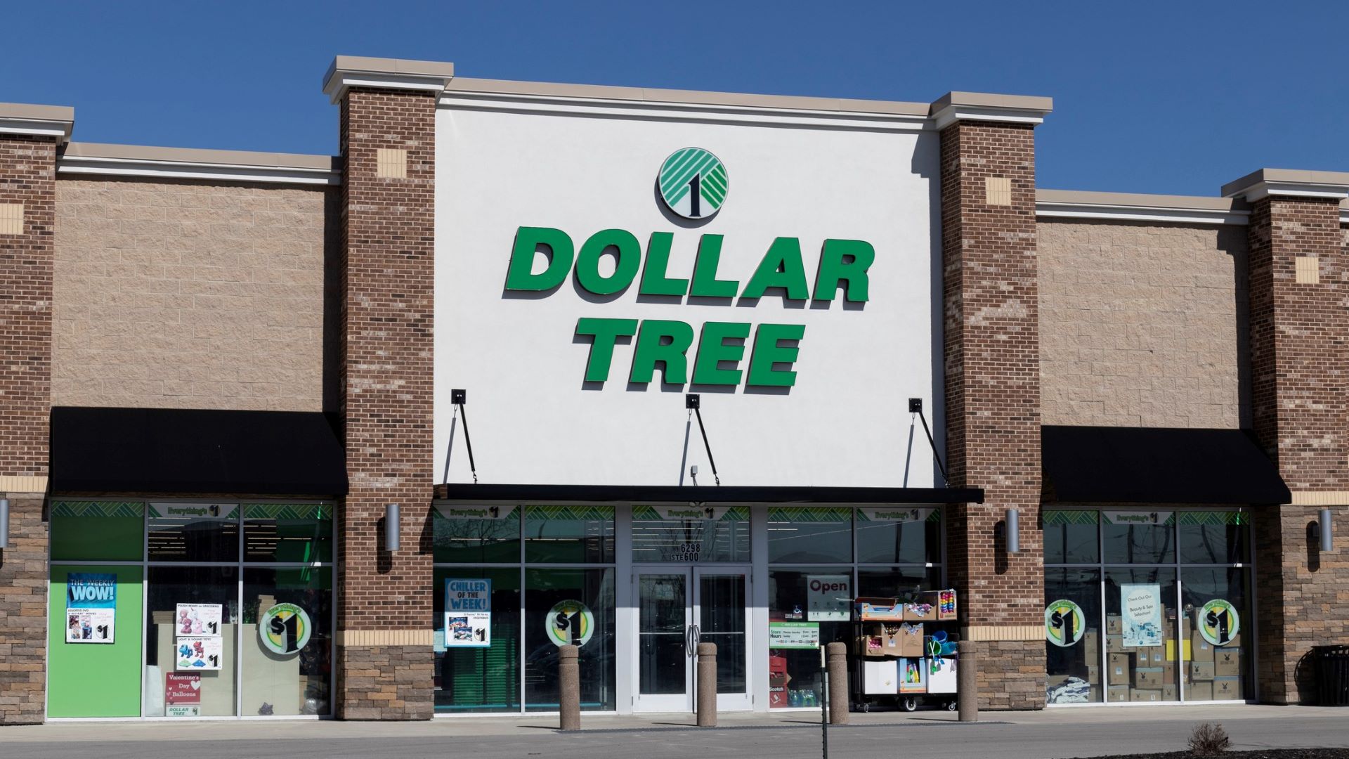 9 Cheap Seasonal Items at Dollar Tree Only Available in the Winter