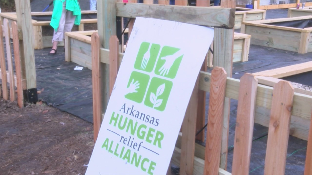 Arkansas Hunger Relief Alliance builds community garden in Little Rock to fight food insecurity