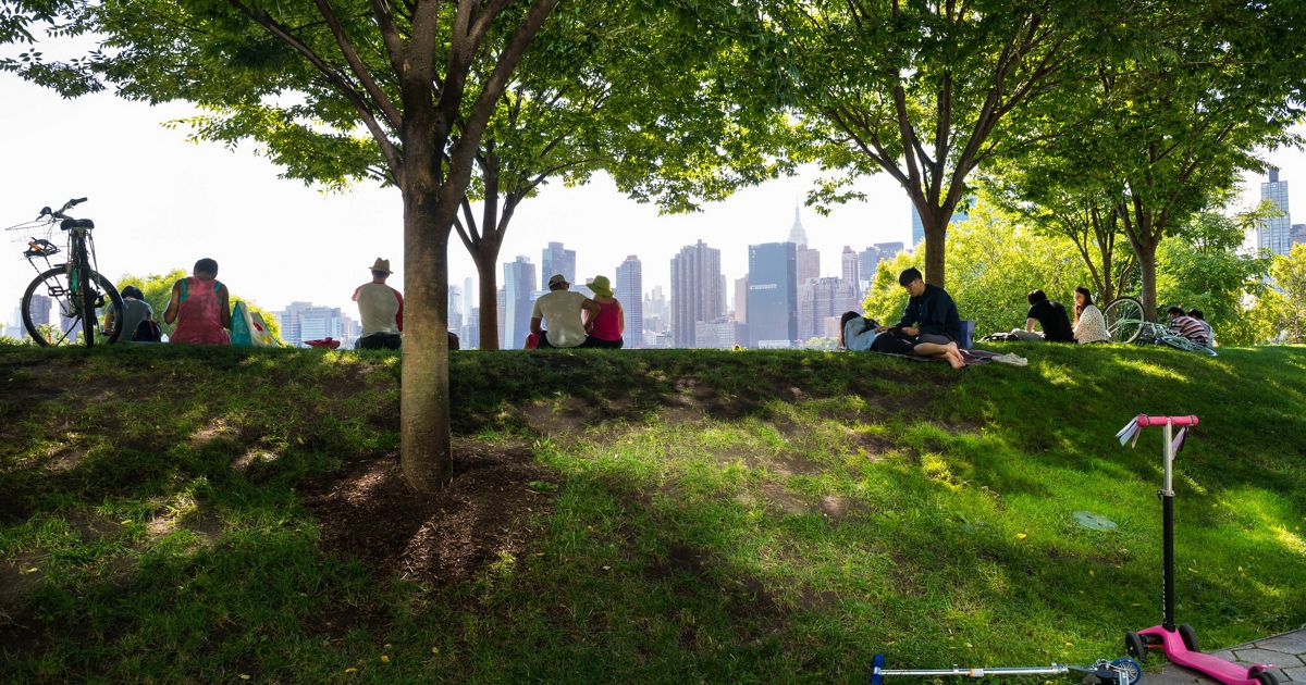 Harnessing the Power of Tree Canopy in NYC