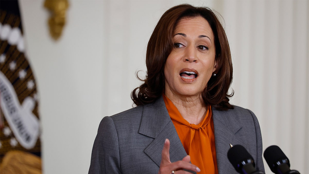 Kamala Harris: Admin has duty to stop AI ‘algorithmic discrimination,’ ensure benefits ‘shared equitably’