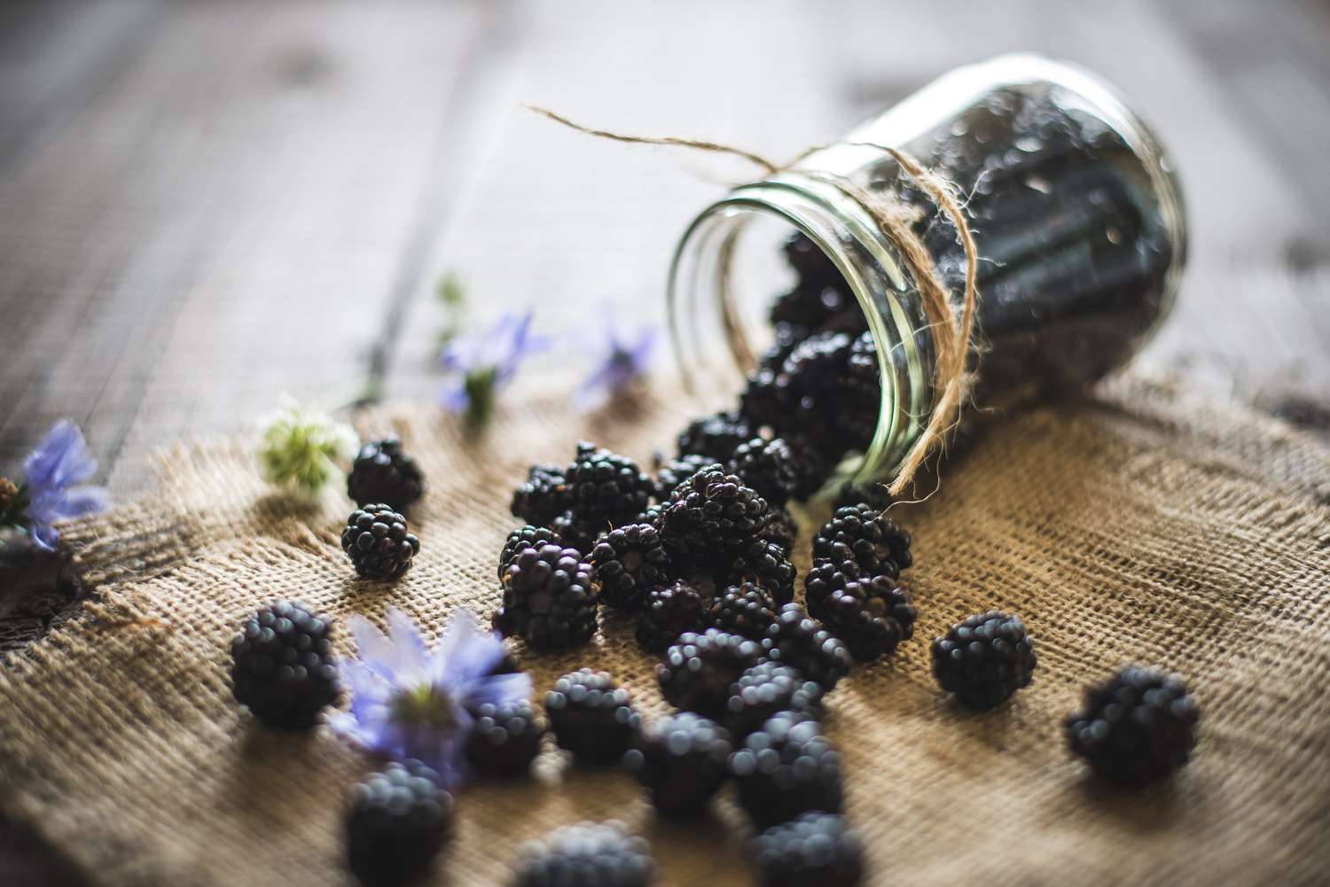 Blackberries: 7 Superfood Benefits and Key Nutrients