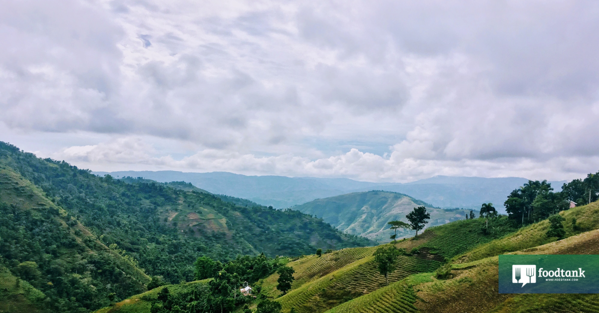 Investing in Food Sovereignty for Haiti