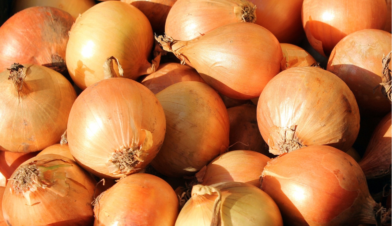 Throw away these onions right now, FDA warns