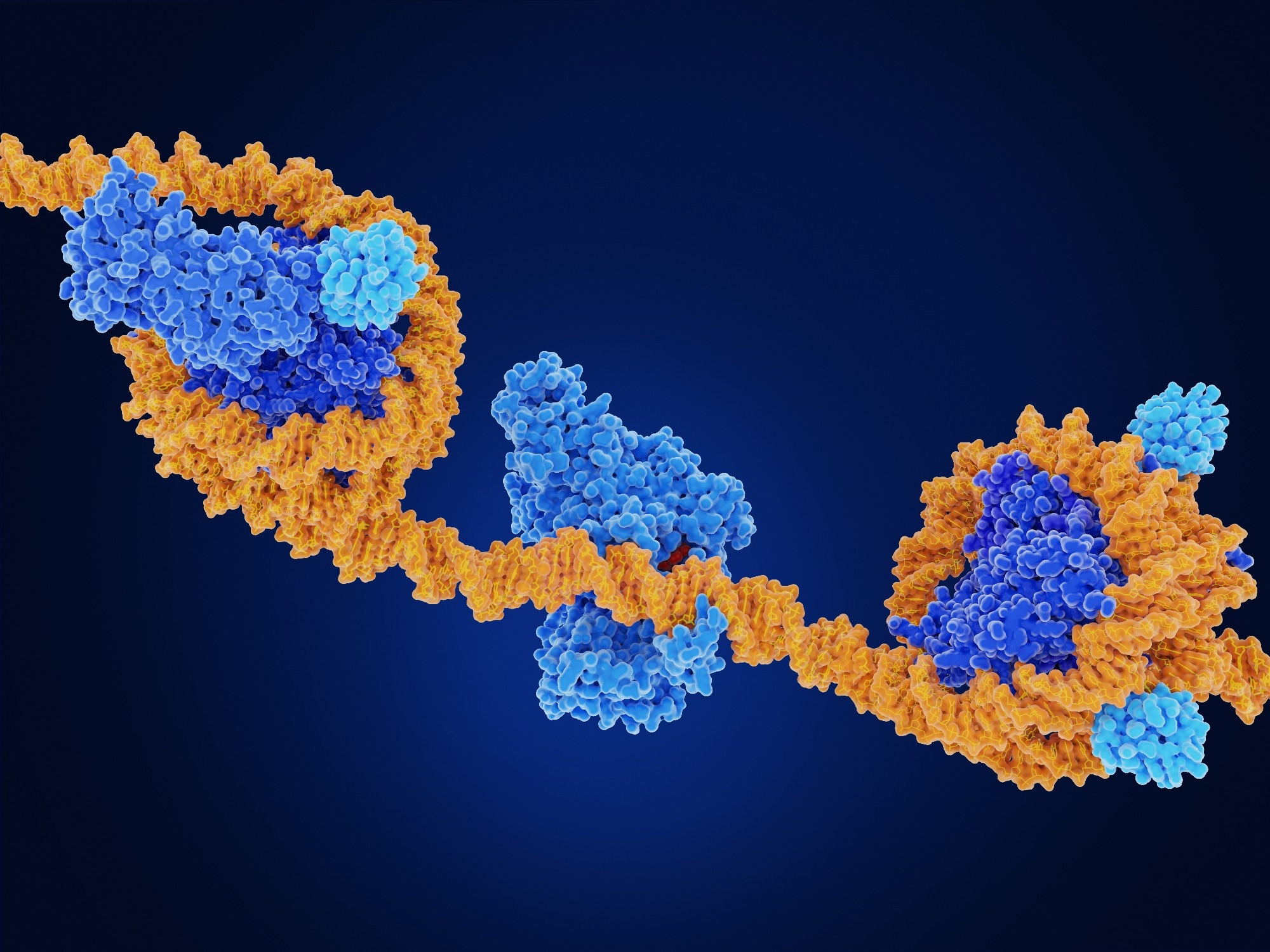 Study uncovers interplay of lifestyle choices and DNA methylation in gastric neoplasia risk