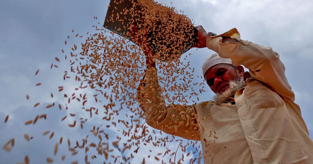 India’s food prices likely to remain stable over next couple of months