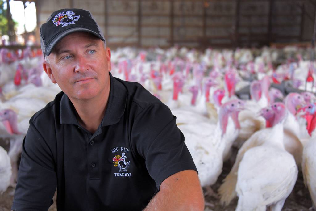 Howard County farms and vineyards are putting fresh food and drinks on holiday tables: ‘You’re supporting the land’