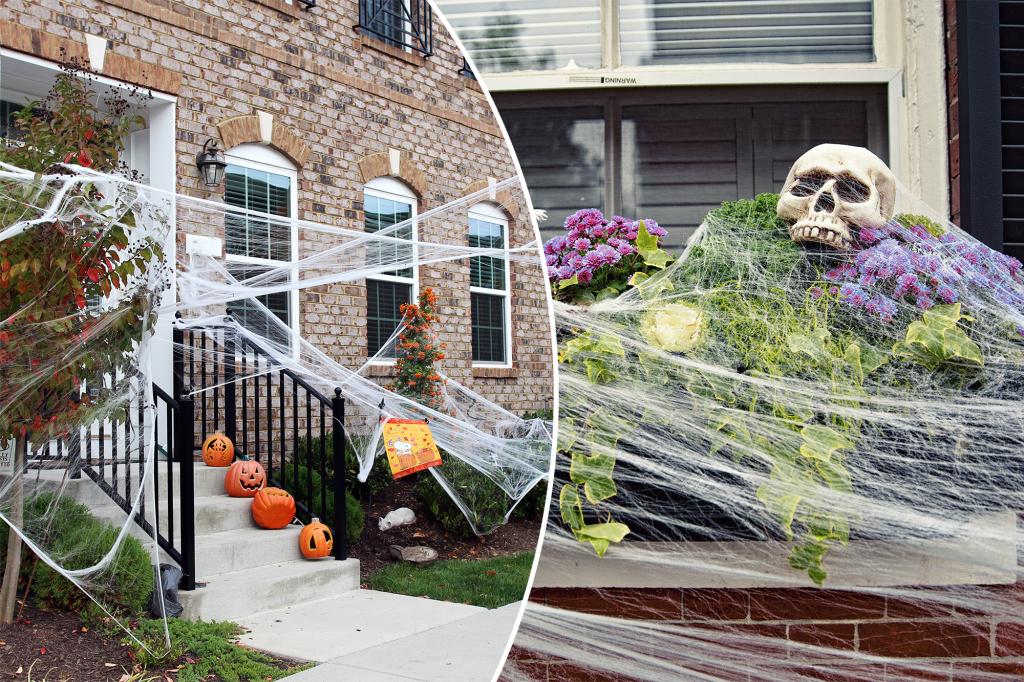 Synthetic spider webs pose dangerous threat to local wildlife this…